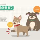 광교호수 동물병원 이미지