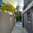 발루토피비 | 이태원 녹사평 카페 발루토피비 두 번 다녀온 내돈내산 후기