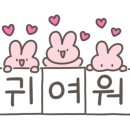 닉스엔녹스 이미지