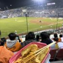 224 | 4/3 잠실야구장 3루 레드석 224구역 직관 후기 (VS두산)