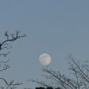 세진카센타 | 비니의 일상