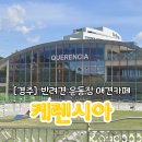 울산 근교 경주 반려견 운동장 애견카페 케렌시아 방문 후기