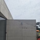카페보리다 | 🌾영광 감성카페 추천 아이랑 카페 :: 갈대밭 포토존이 너무 예쁜 ‘카페 보리’ 솔직후기📸☕