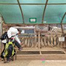 검단산등산로(아빠사랑화장실) 이미지