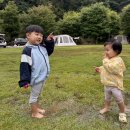 캠프 올모 | 캠프올모 후기 아이랑 캠핑 가기 딱 좋은 이유