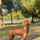 살롱드미미즈 이미지