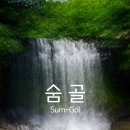숨골 이미지