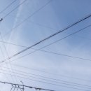 성암생활체육관 체육관 이미지