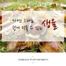 가을철 국민간식 2024 햇약단밤 출시시작~~ 구밤할인도 진행중이에요~/생율 이미지