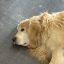 라라모텔 | [삼척·강릉 솔직 여행기] 🔍 시장투어, 주차 팁, 실패 없는 동선, 화려하진 않아도 기억에 남았다.