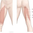 피트니스 메카 이미지