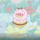 황제조개궁녀