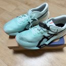 1013 | 아식스 메타스피드 스카이 파리 일루미네이트 민트 블랙 (1013A123-400) 구매 후기