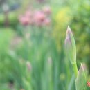 이시돌쉼터 이미지