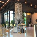 Big Dog(빅독) 이미지