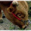 승일농장 이미지