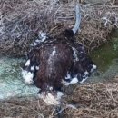 활보농장 이미지