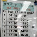 금오도별밤지기펜션 이미지