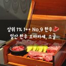일산 오마카세 소굴, 데이트코스로 다녀온 1++ No.9 한우 일산 파인다이닝