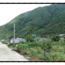 용우농장 이미지