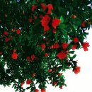 삼주1공인중개사사무소 이미지