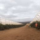 노티농장 이미지