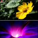 태릉갈비 - 창원시 성산구 원이대로883번길 2 | 태릉갈비