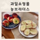 웰빙브라더스 | 집들이선물 과즙폭발 신비복숭아 과일쇼핑몰 농브라더스 설도복숭아 후기