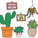 요가 오전반 이미지