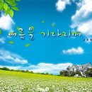 캘리그라피B 이미지