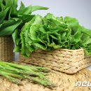 명품꾸러미