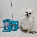 (주)펫헤머 | 강아지 알러지사료간식은 페츠베리머치 알러지케어 조이밀세트