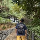 세븐일래븐 한양프라자점 | 인왕산 불꽃놀이 얼마나 보이는지 찐 후기