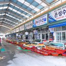 직판장 티스토리