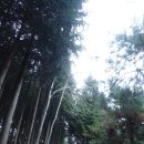 윤산 이미지