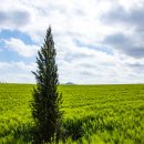 이팝농장 이미지