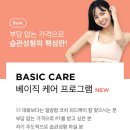 스타트업베이직 이미지