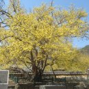 수지면 고정마을 이미지