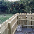 정우네농장 이미지