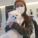 플레이독 남양주점 이미지