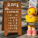 오리당 이미지