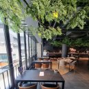 비스트로영 이미지