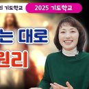 대로(주)1-1-1 이미지