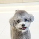 그루밍부스 이미지