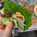명희네기장산꼼장어 이미지