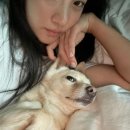 행복한두부 이미지