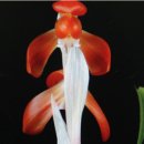 해오름1로 이미지