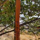 제주불교성지 순례길 절로 가는길 - 보시의 길 이미지