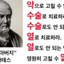 셀럽 점핑&체온테라피