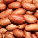 땅콩이네 이미지